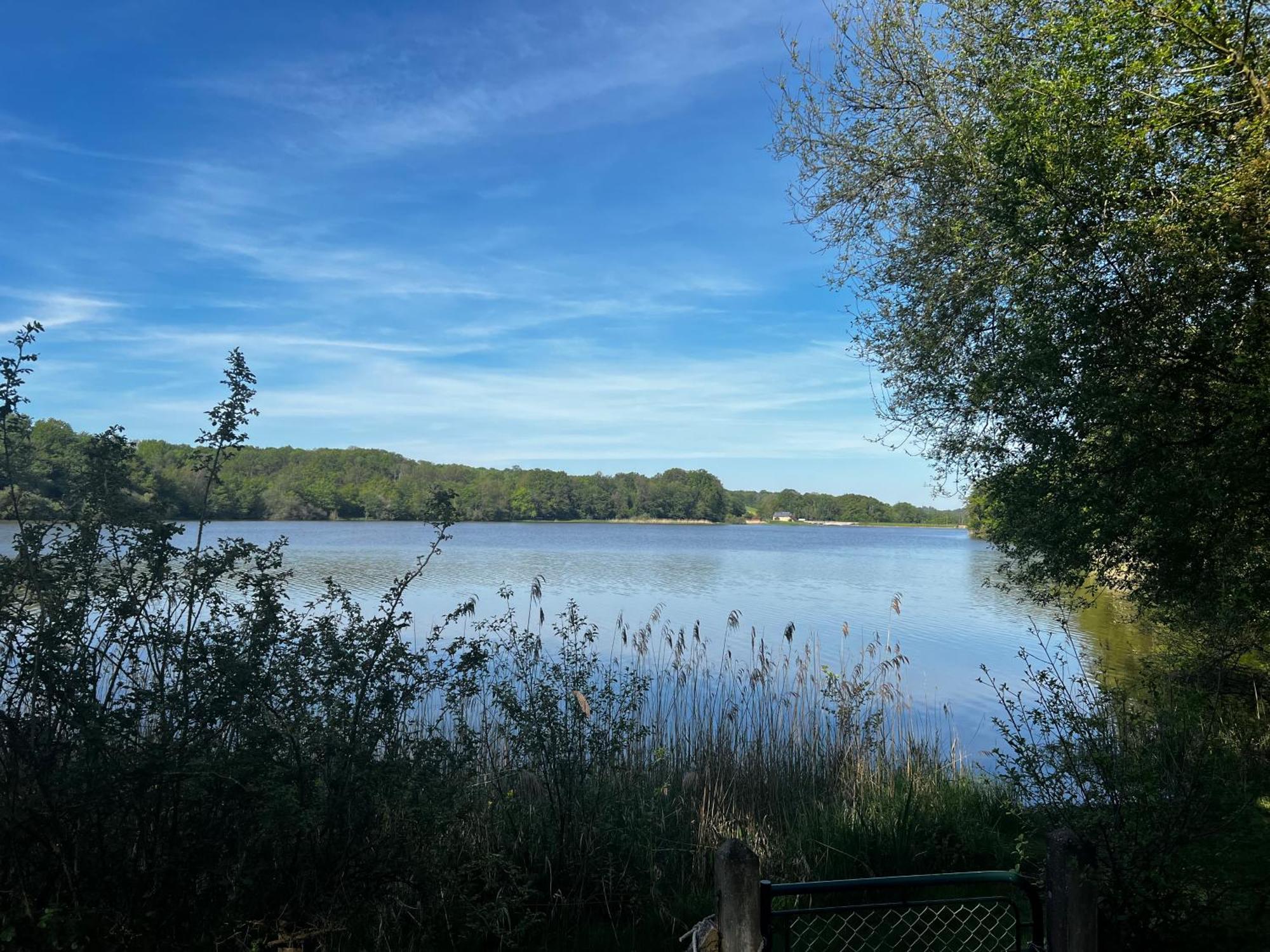 Chalet Au Bord De L'Etang 4 Pers Les Boulmiers Kültér fotó